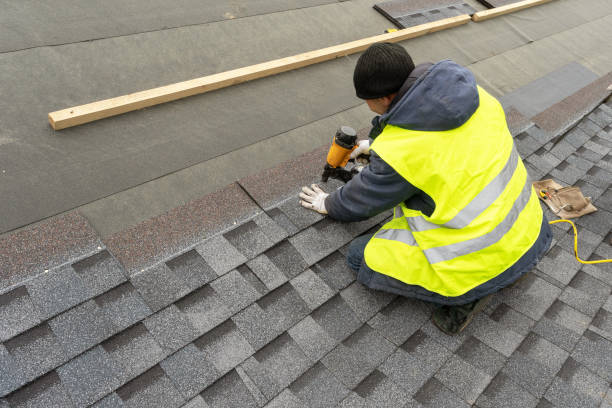Roof Gutter Cleaning in Solon, IA
