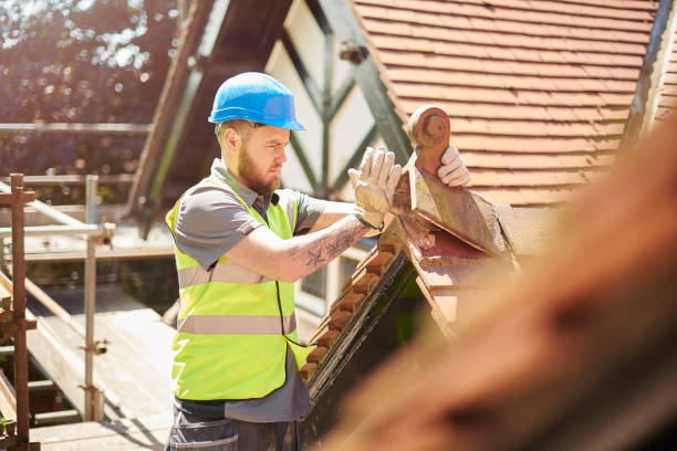 Best Flat Roof Repair Services  in Solon, IA